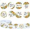 1000Pcs Sunflower Stickers, Baby Shower Thank You Stickers in Roll, Bridal Shower Wedding Favor Decal Stickers, Sun Flowers Round Decal Labels for Spring Summer Party Envelope Baking Bag